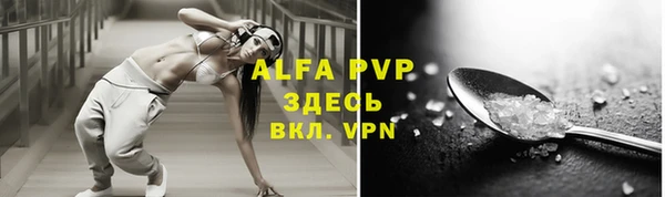 тгк Новозыбков