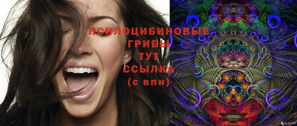 синтетический гашиш Новодвинск