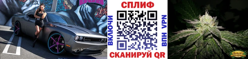 где купить   Кумертау  Каннабис гибрид 